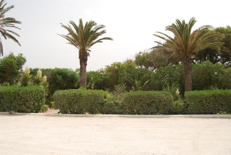 Hotel El Andalous سليمان المظهر الخارجي الصورة